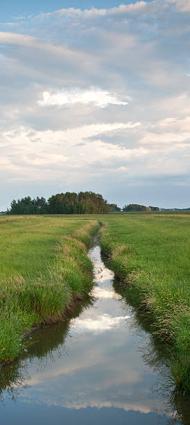 homme fait l'irrigation canal sur les plaines - manitoba prairie landscape canada photos et images de collection