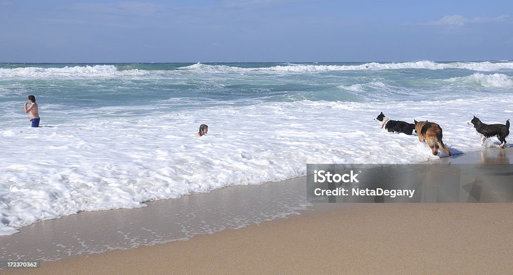 Irmãos e cães a tocar uma Praia do Mediterrâneo Israelita - Royalty-free Alegria Foto de stock