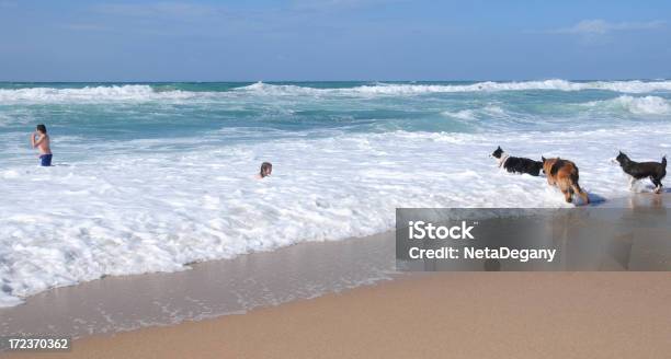 Irmãos E Cães A Tocar Uma Praia Do Mediterrâneo Israelita - Fotografias de stock e mais imagens de Alegria