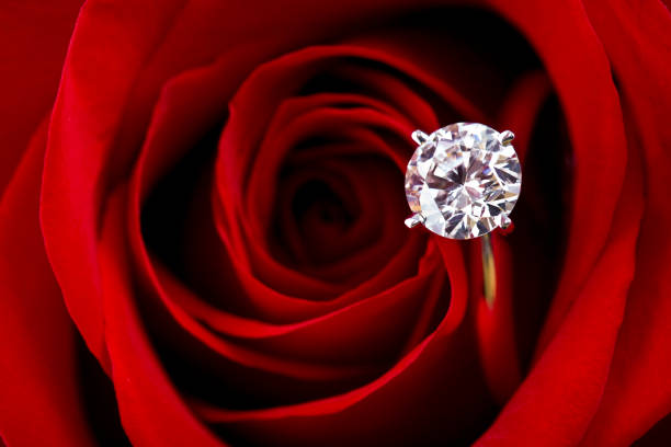 istock Red Roses & Diamond Rings (XL) 172370566