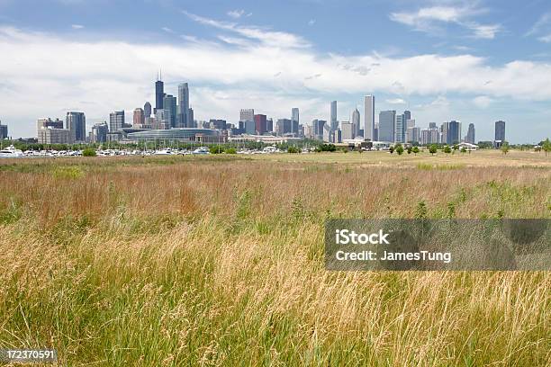 大草原の街 - イリノイ州のストックフォトや画像を多数ご用意 - イリノイ州, 都市, エイオンセンター