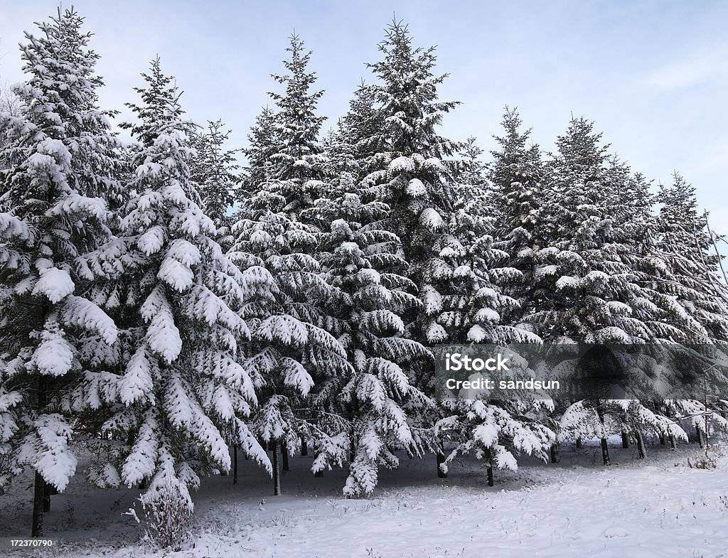 winter Adventure Stock Photo