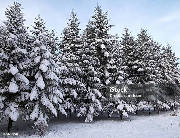Winter Stock Photo - Download Image Now - Adventure, Backgrounds, Beauty In Nature