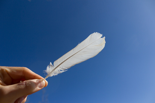 White feather over blue sky background