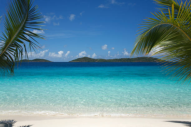 istock beautiful tropical scene at a  beach in the Caribbean 172371178