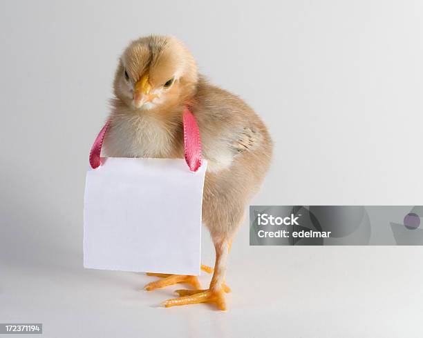 Foto de Espaço Para Alugar e mais fotos de stock de Amarelo - Amarelo, Animal, Branco