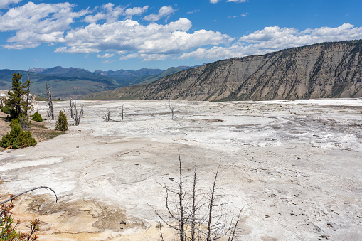 White color landscape in the Mammoth Hot Springs in the Yellowstone National Park, Wyoming, USA