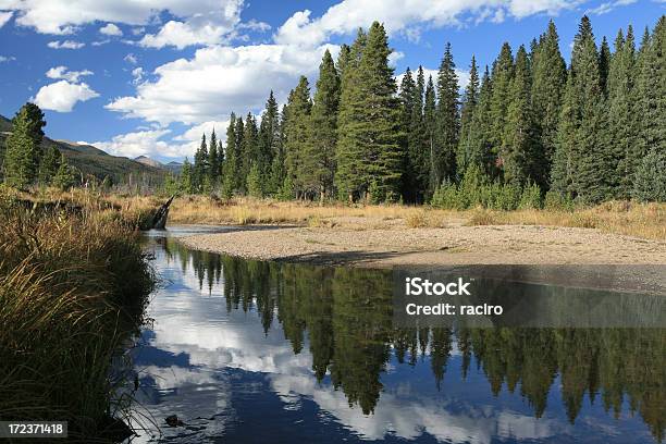 Colorado River Stockfoto und mehr Bilder von Fluss Colorado River - Fluss Colorado River, Rocky Mountains, Baum