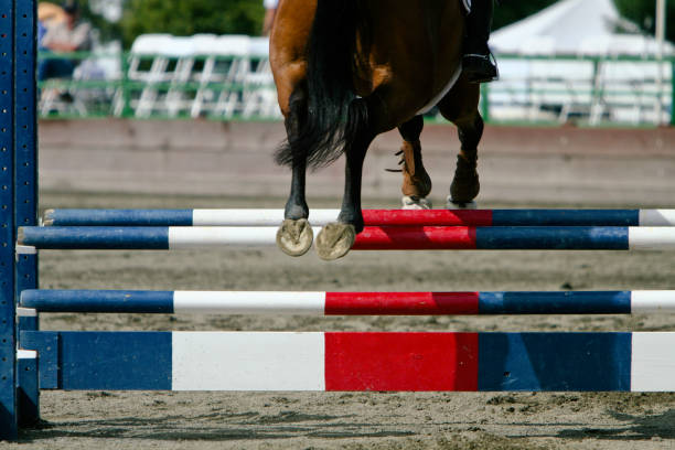 istock Horse Hoofs Jumping 172371825