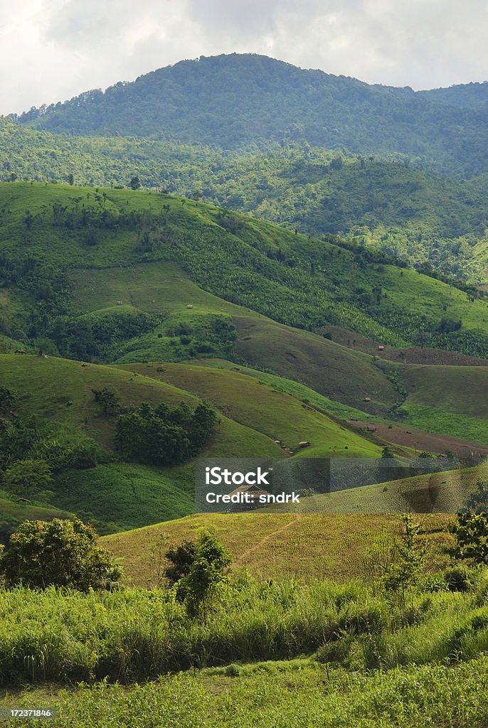 Colline di Little capanne - Foto stock royalty-free di Agricoltura