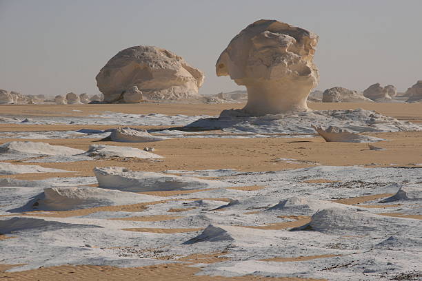 istock Chalk mushrooms in the White Desert 172371875