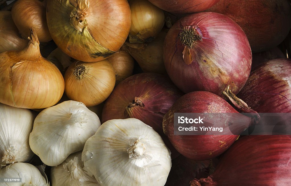 양파를 Garlics 다양한 양파과 야채 자르기 - 로열티 프리 양파 스톡 사진