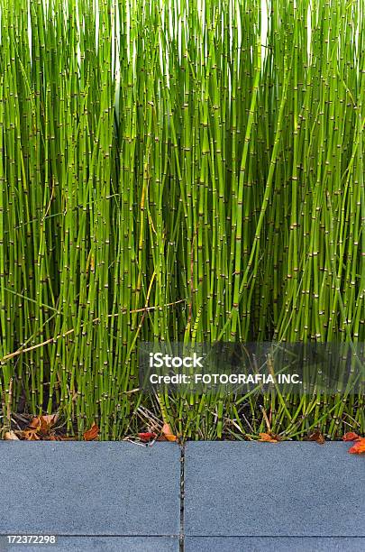 Japanischer Garten Stockfoto und mehr Bilder von Asiatische Kultur - Asiatische Kultur, Bambus - Graspflanze, Blatt - Pflanzenbestandteile