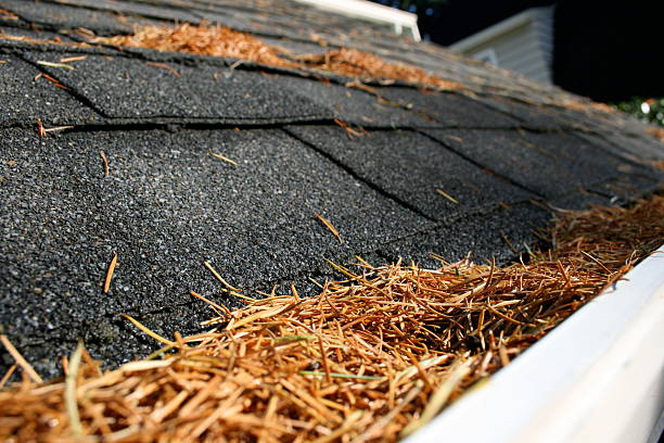 Gutter Full A gutter full of fir needles eaves stock pictures, royalty-free photos & images