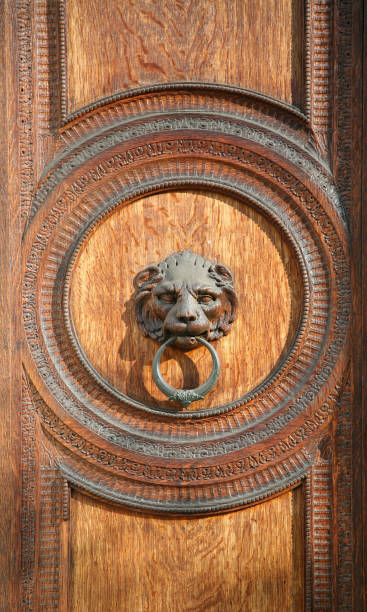 lion türklopfer - door knocker door lion luxury stock-fotos und bilder