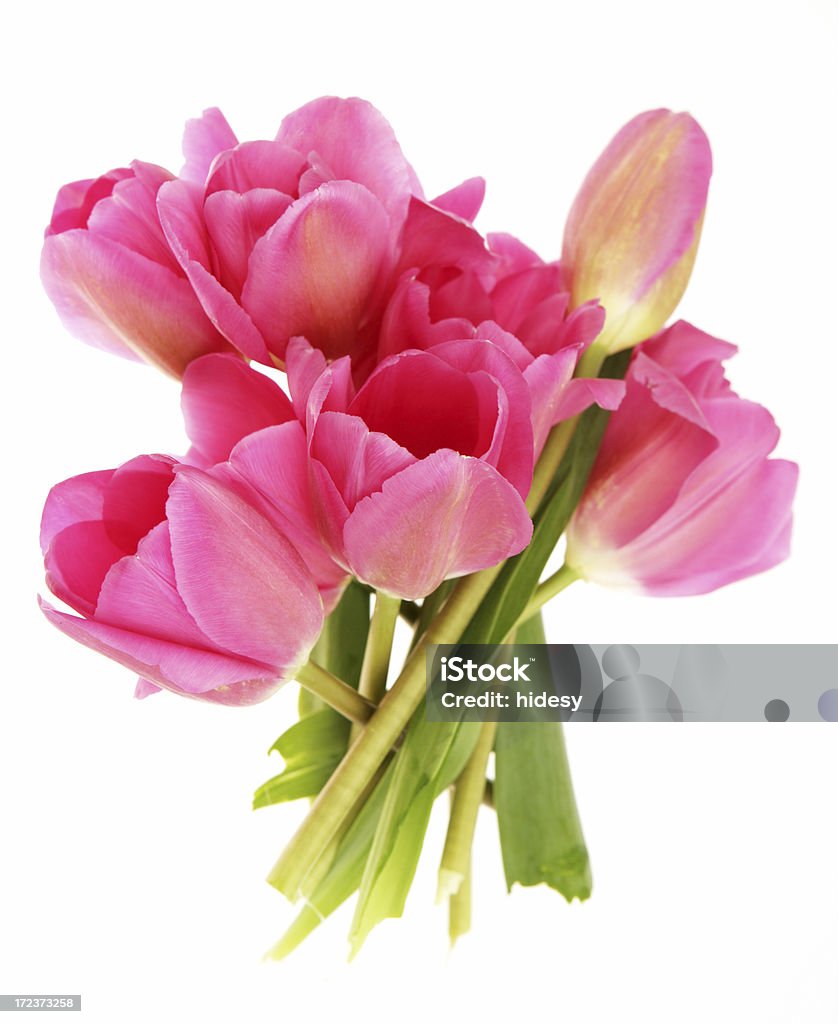 Posy Of tulips Beauty Stock Photo