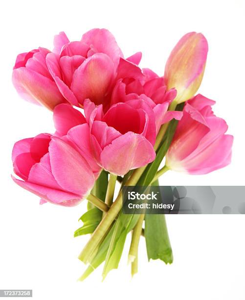 Posy Stock Photo - Download Image Now - Beauty, Beauty In Nature, Bouquet