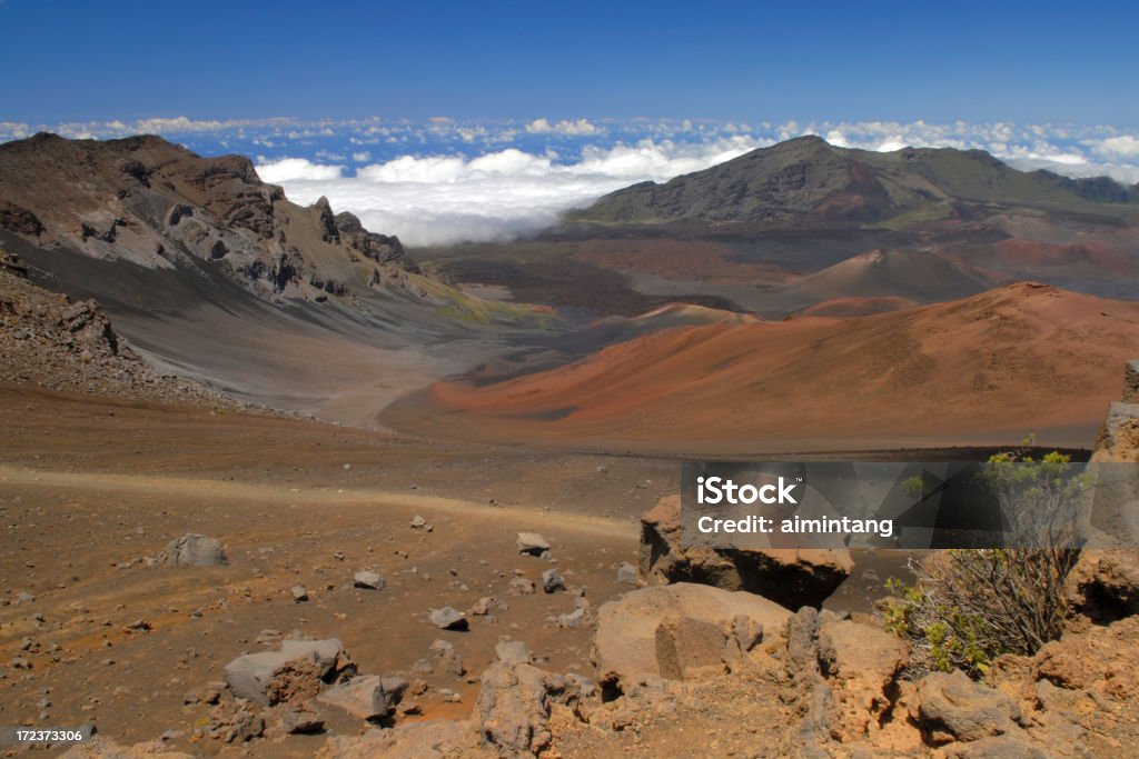 Parco Nazionale dell'Haleakala - Foto stock royalty-free di Adulto