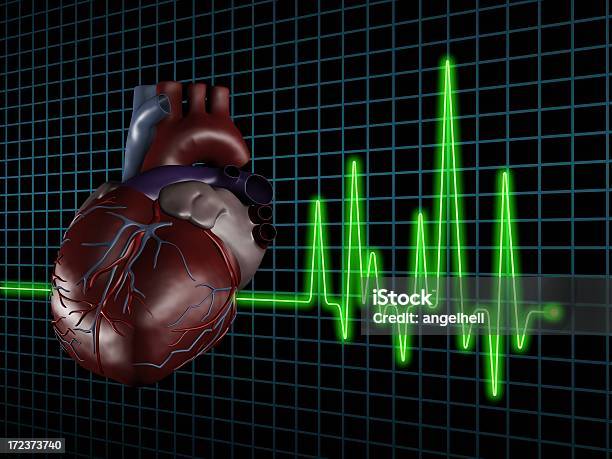 Electrocardiograma Com Coração Humano No Ecrã - Fotografias de stock e mais imagens de Analisar