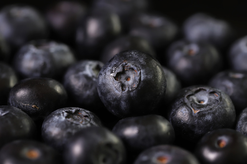 Blueberries isolated on black background