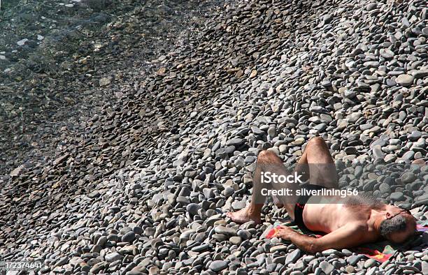 Sonnenbaden Auf Felsen Stockfoto und mehr Bilder von Humor - Humor, Strandhandtuch, Kiesel