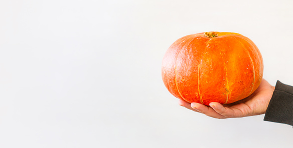 Male hand holding pumpkin with raw white background