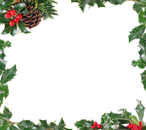 Christmas holly frame stock photo