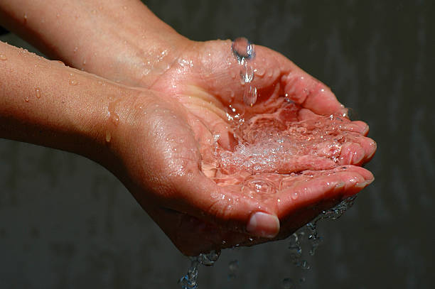 De Concha Mãos segurando água limpa - foto de acervo