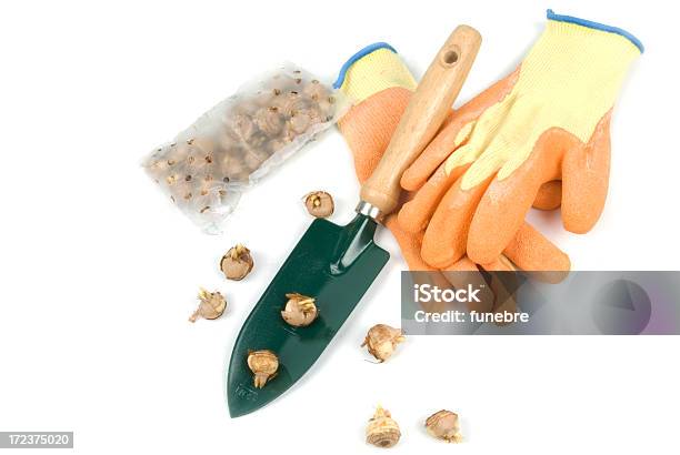 Gardening Equipment Stock Photo - Download Image Now - Color Image, Crocus, Cut Out