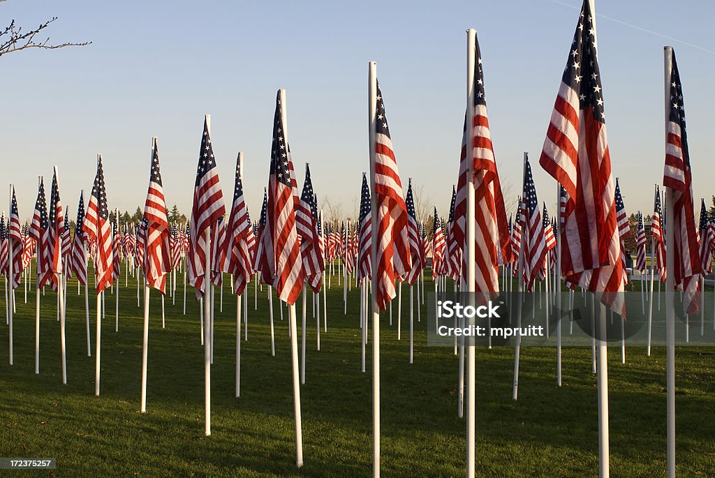 Memorial Flags o zachodzie słońca - Zbiór zdjęć royalty-free (Czuwanie ku pamięci)