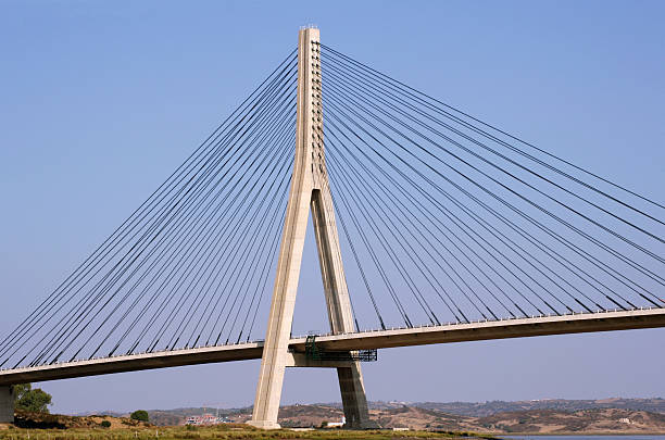 istock Suspension bridge over the Guadiana river 172375446