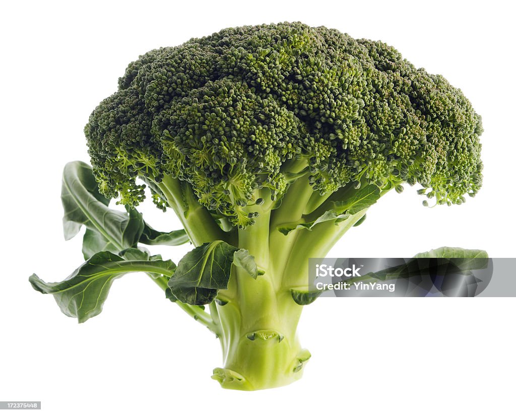 Brocoli Isoated sur fond blanc - Photo de Aliment libre de droits