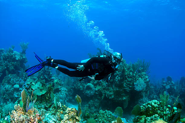 Práctica de buceo en el Caribe - foto de stock