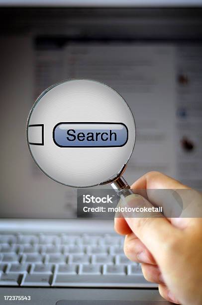 Looking For Something Stock Photo - Download Image Now - Business, Business Person, Close-up
