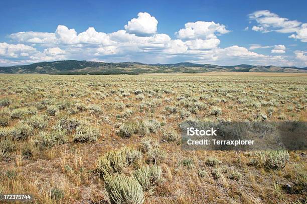 Big Sky Country Stockfoto und mehr Bilder von Berg - Berg, Blau, Blume