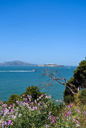 Alcatraz Island seen from Fort Mason Recreational Area in San Francisco, California.
