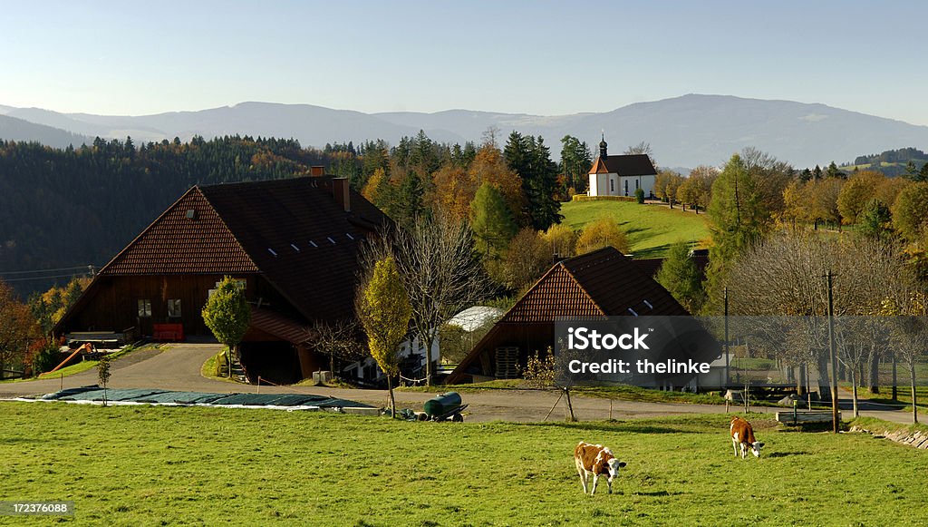 St. Märgen Forêt, Noir - Photo de Forêt Noire - Allemagne libre de droits