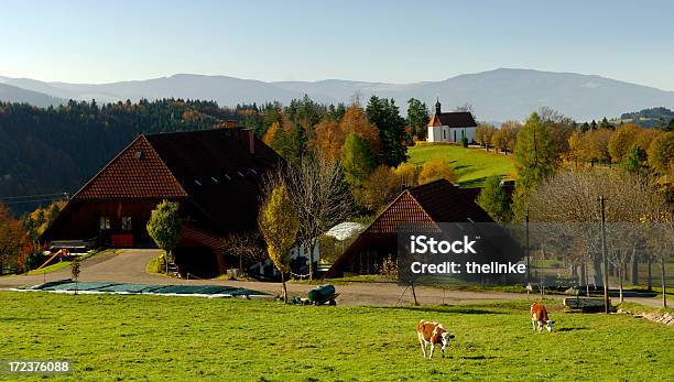 Photo libre de droit de St Märgen Forêt Noir banque d'images et plus d'images libres de droit de Forêt Noire - Allemagne - Forêt Noire - Allemagne, Agriculture, Allemagne