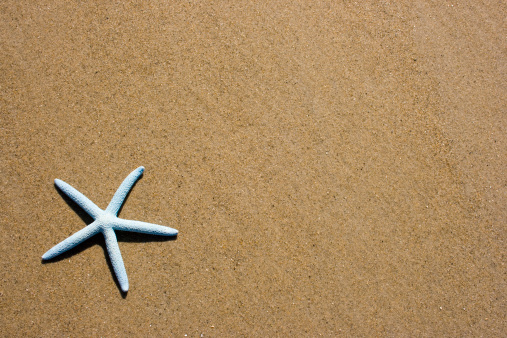 Blue-colored starfish on flat beach sand.