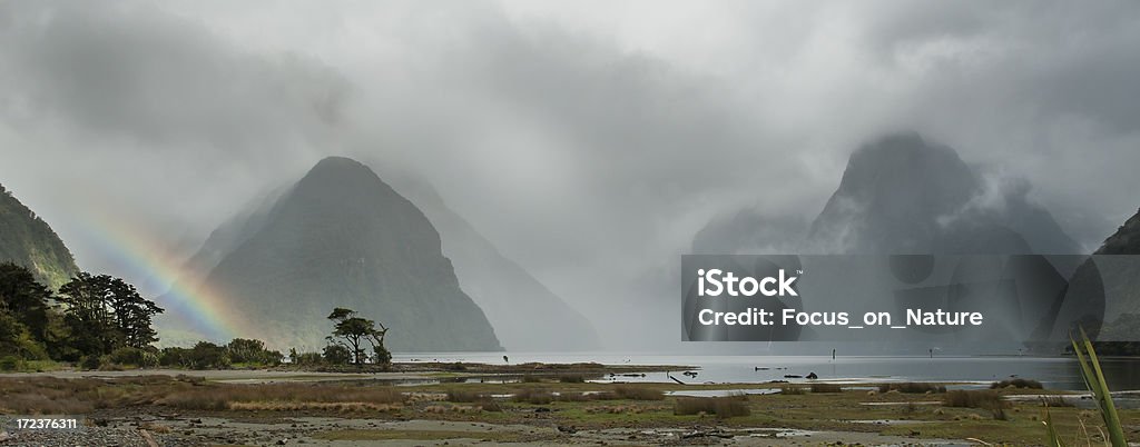 Milford Sound arcobaleno - Foto stock royalty-free di Albero