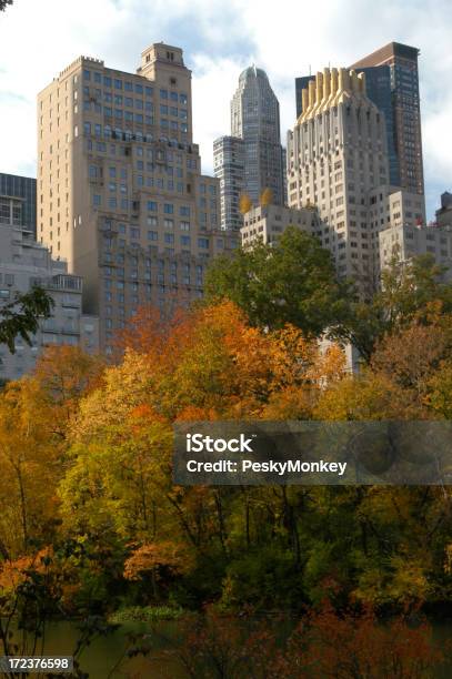 Caduta Di New York City - Fotografie stock e altre immagini di Albero - Albero, Albero deciduo, Ambientazione esterna