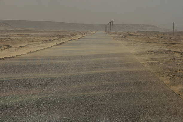 A beautiful landscape with a caravan of camels carrying salt in Ethiopia, Afar region