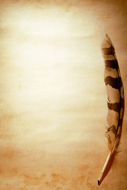 istock Quill pen on old paper 172376893