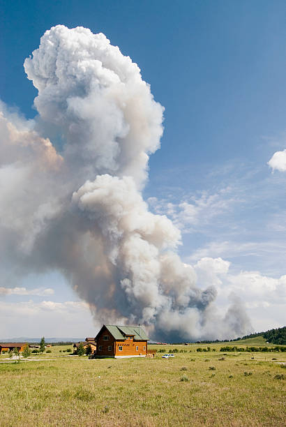 Feu de forêt - Photo