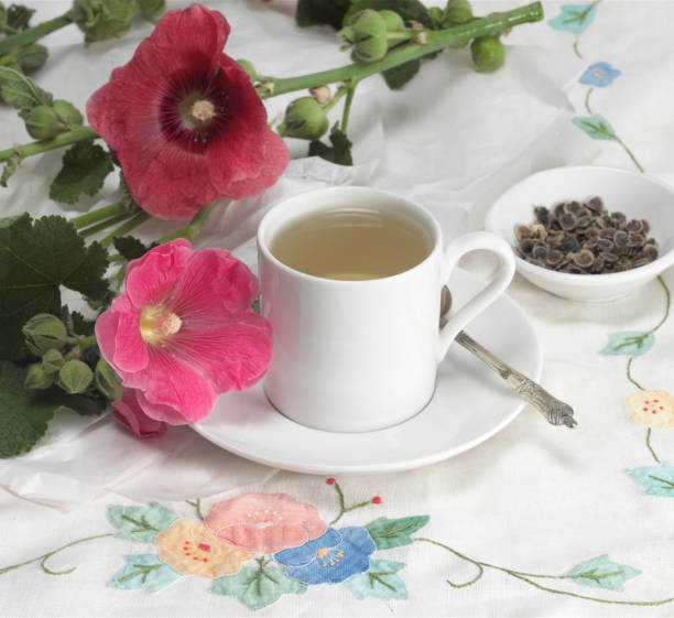 Double Hollyhock Tea stock photo