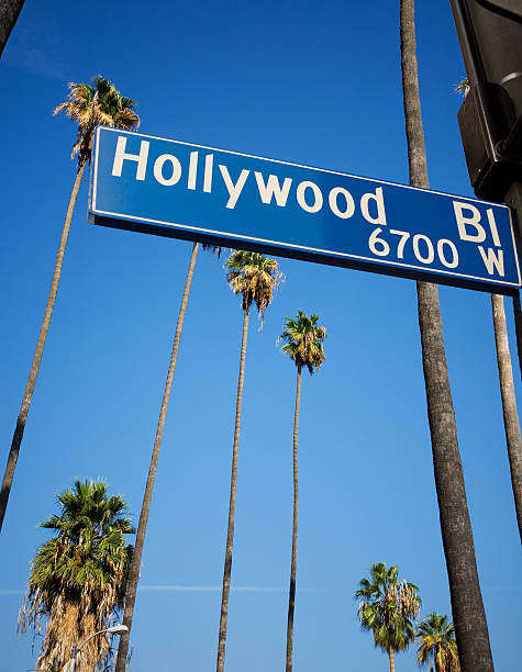 istock Hollywood Road Sign With Palm Trees In The Background 172377416