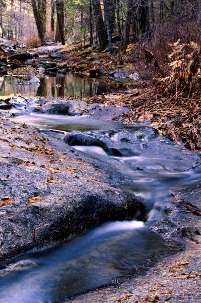 montaña con flujo de agua de estanque - scerene fotografías e imágenes de stock