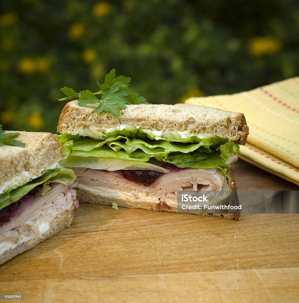 Pollo o pavo & Sándwich de vegetales, salsa de arándano restos del Día de Acción de gracias - Foto de stock de Aderezo libre de derechos