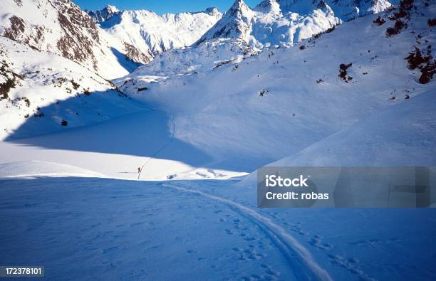 Photo libre de droit de Ski De Fond banque d'images et plus d'images libres de droit de Activité de loisirs - Activité de loisirs, Blanc, Bleu