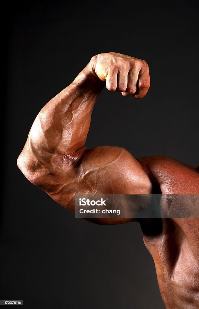 body builder Bizeps - Lizenzfrei Aktiver Lebensstil Stock-Foto